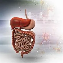 Clinical Gastroenterology and Hepatology Research